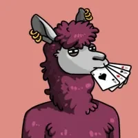 Lucky Lit Llamas