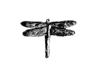 DRAGONFLY: NFThing / June Stratton