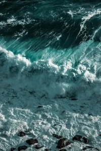 Choose Your Wave