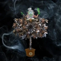 MCS 3D Motherplants