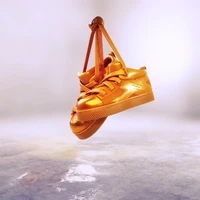 SkateX Founders Shoes