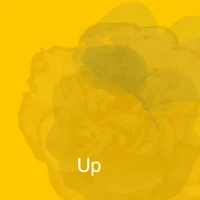 UP Project