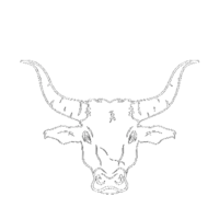 The Ox Squad