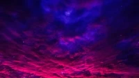 Purple Art