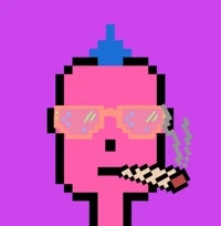 Punk DoucheBags (official)