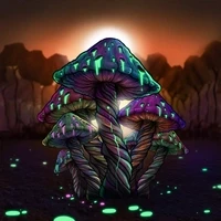 Chorles's Sacraments: Mushrooms