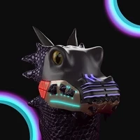 Draygon Investment Co