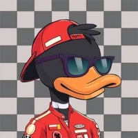 Danger Valley Ducks
