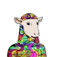 Shady Sheep