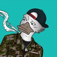 ApexDucks