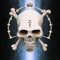 Skull Division - Project Sku11