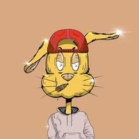 Bobby Rabbits