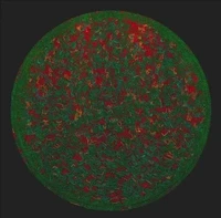FRAKT Sandbox - Broken Maze