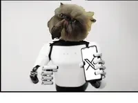 bot miggles