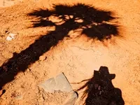 Rodeo posts