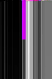 Rodeo posts