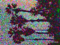 Rodeo posts