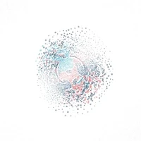Ephemeral Cohesion