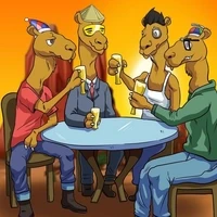 Cool Camels