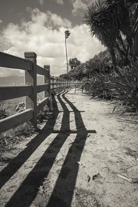 Rodeo posts