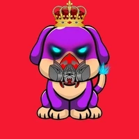 Sol Charm Dog