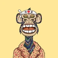 Bored Ape Punks Club