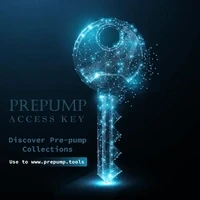 Prepump Tools - Access Key