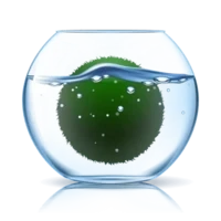 marimo.life
