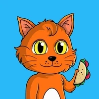 Taco Gatos NFT Official