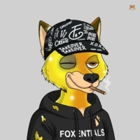 Meta Foxes Collection