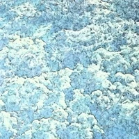 earthsample editions