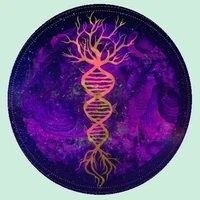 Sapien Medicine