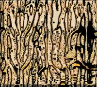 Etchings of Latentscaux