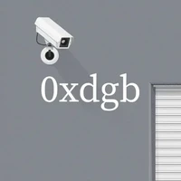 0xdgb 1/1s