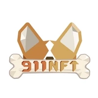 911NFT Pass