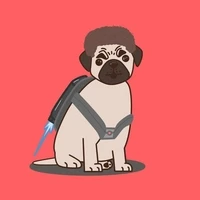 PUGSTER