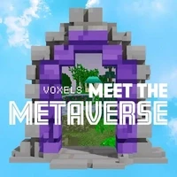 Meet The Metaverse V2