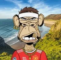 TheKingKongApe V2