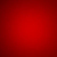 ABSOLUTELY DO NOT MINT