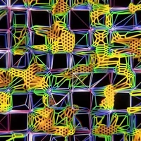 Hex 2 Grid I | Virtual Hive Habitation by Simon Alexander-Adams