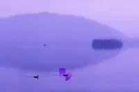 Shielded Serenity