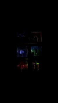 Creature Cubes: The Beginning by Creature World