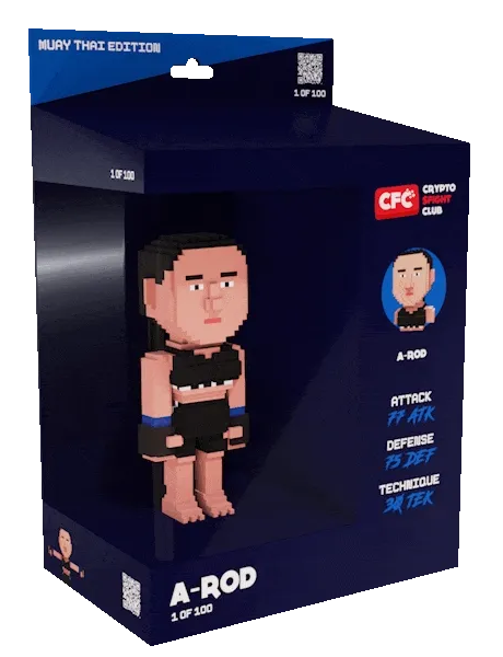 Crypto Fight Club Fighter
