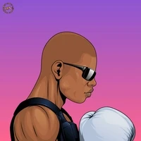 Fighterpunk Game