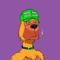 Mad Bored Dog