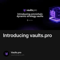 Introducing vaults.pro