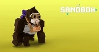 Sandbox Voxel Transfer