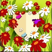The Summer Shield
