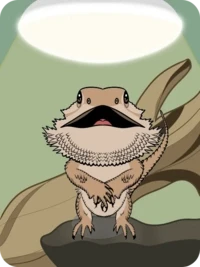 Bearded Dragon by JustChasingSparkles x Reddit Collectible Avatars