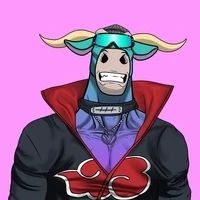 BONK Bulls